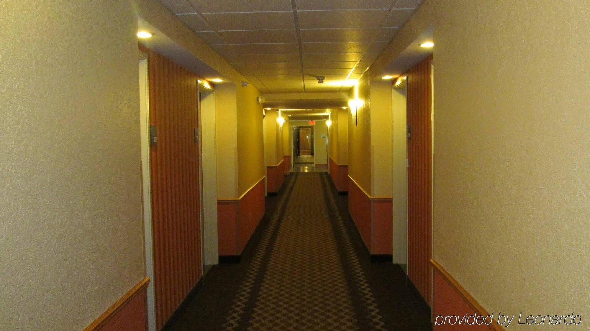 Holiday Inn Express Hotel & Suites Lexington By Ihg Εξωτερικό φωτογραφία